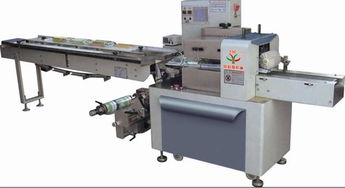 高效包装与智慧出行 物体包装机械与汽车租赁服务的现代化趋势